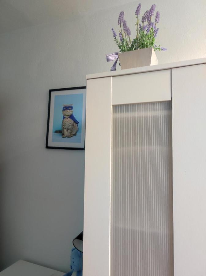 Single Room No.4 In The Very Center Of 华沙 外观 照片
